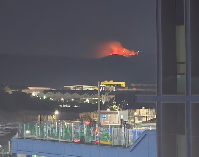 (사진제공=산림청)