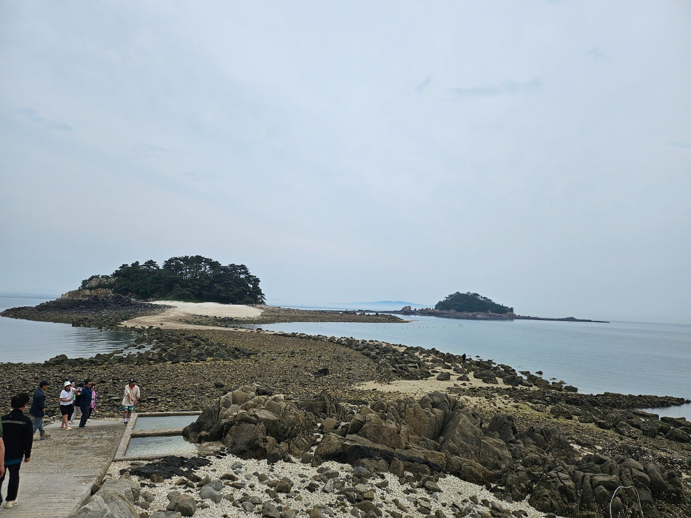 썰물 때 갓섬-간뎃섬-송곳여-물푸레섬을 연결하는 모세의 기적이 일어나는 전국 최장길이의 바닷길이 열리는 섬 전경