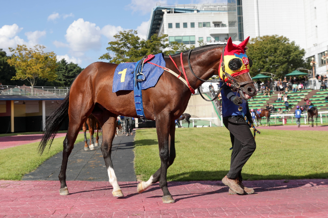 오는 22일 렛츠런파크 서울 2000m 접전 ‘제14회 스포츠동아배’ 개최