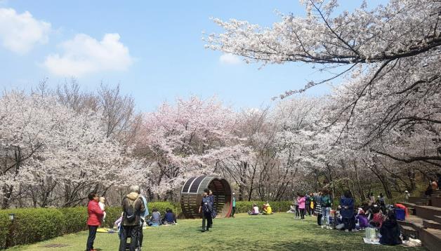 서대문구가 올해 9월부터 매주 토요일 서울시 공공예식장으로 무료 개방하는 ‘서대문 안산(鞍山) 잔디마당’