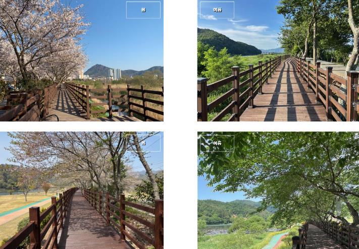 장흥군, 탐진강 생태탐방로 4km 조성 완료