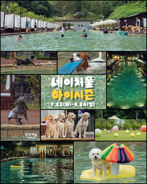 더존비앤씨티 강아지숲, ‘네이처풀 하이시즌’ 사전 예매 오픈
