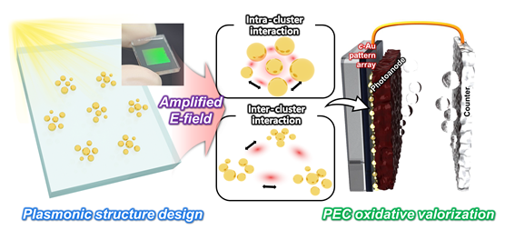 성균관대, 플라즈모닉 나노구조체 기반 차세대 태양에너지 전환 기술 개발