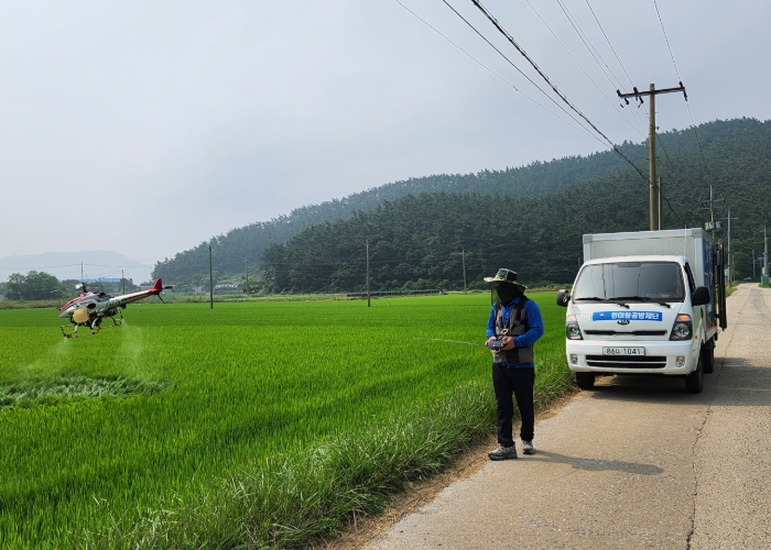 항공방제 모습.