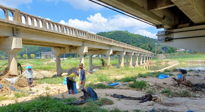 대청호 유입 하천 쓰레기 수거 모습