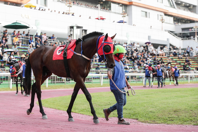 렛츠런파크 서울, 제40회 ‘KRA컵 클래식(G2)’ 개최