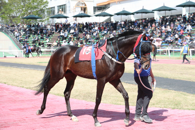 렛츠런파크 서울, 제40회 ‘KRA컵 클래식(G2)’ 개최