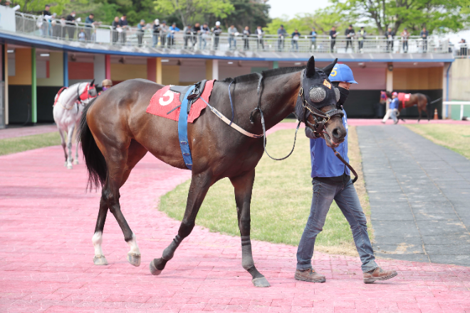 렛츠런파크 서울, 제40회 ‘KRA컵 클래식(G2)’ 개최