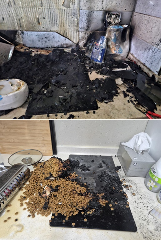 (사진제공=부산소방재난본부)