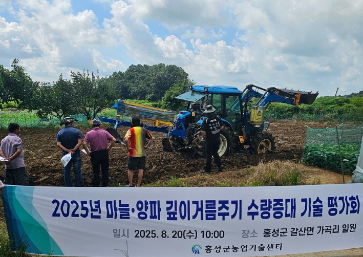 홍성군, 신기술로 마늘·양파 생산성 높인다