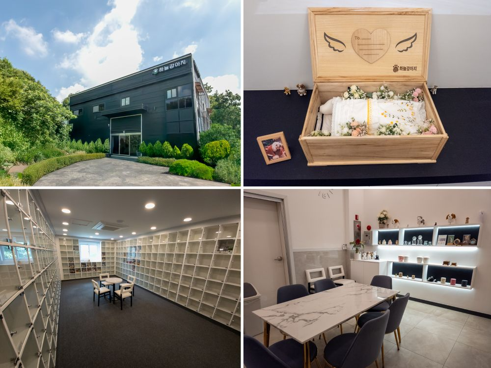 보람상조, 반려동물 장례식장 ‘하늘강아지’와 업무협약 체결