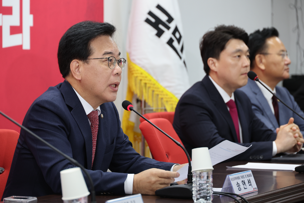 발언하는 송언석 비상대책위원장(사진=연합뉴스)
