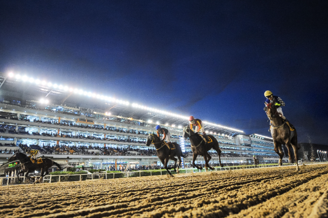 한국마사회, 오는 29일부터 매 주말 야간경마 시행