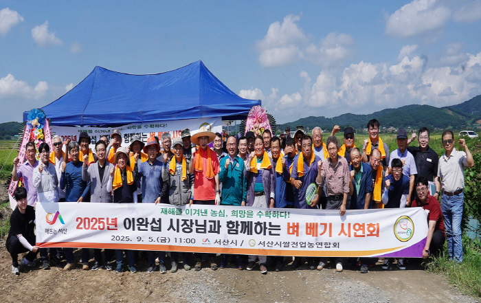 5일 부석면 지산리 1778번지 일원에서 진행된 벼 베기 시연회