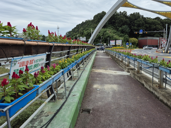 금산군 데크산책로