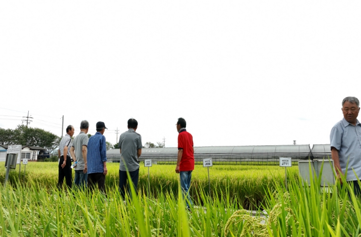 2025년 벼농사 종합평가회)