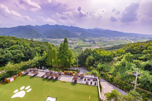 이랜드파크 켄싱턴리조트 충주, ‘펫 요가’ 정기 프로그램 선보여