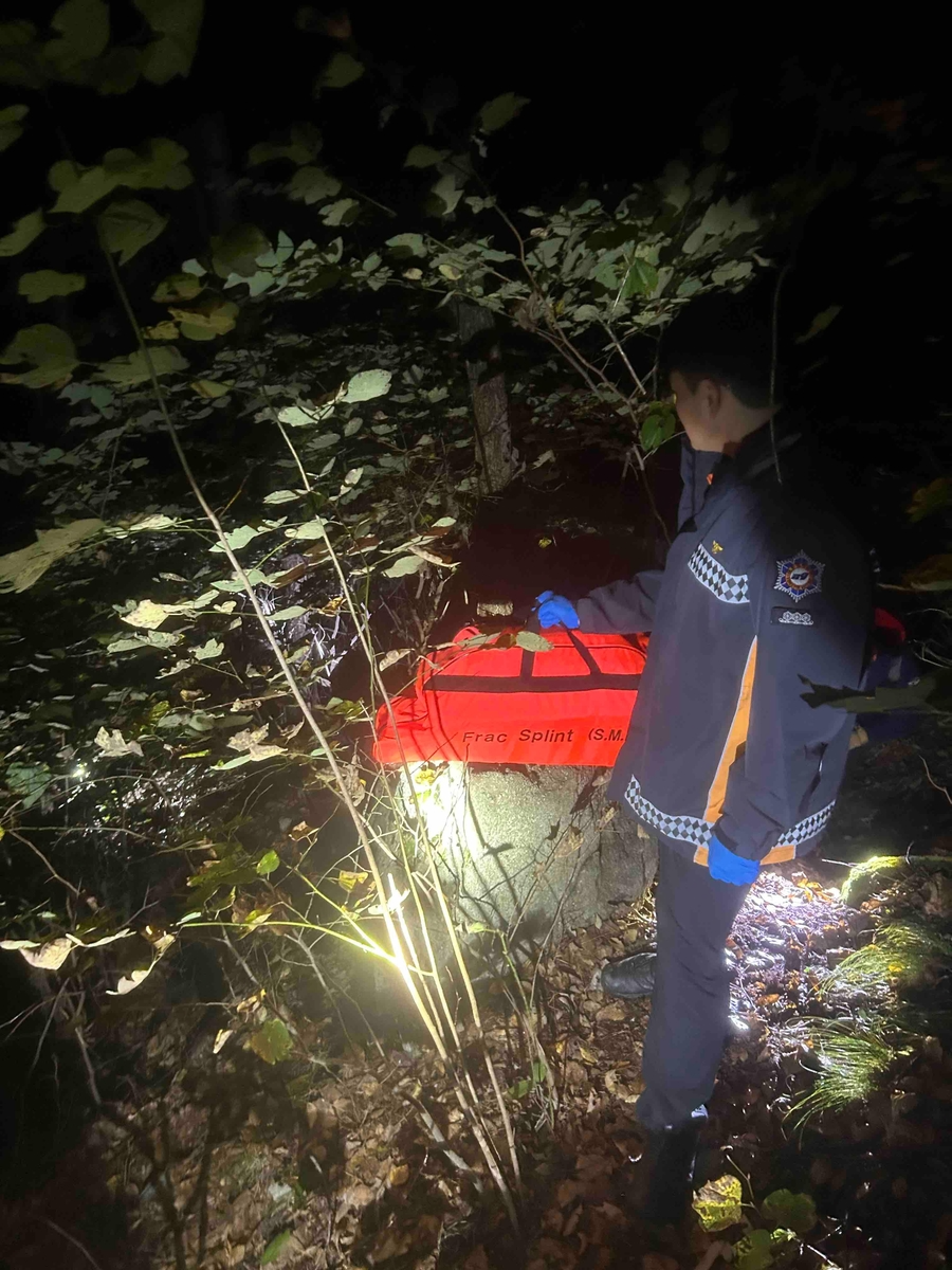 수색하는 119 대원들 모습(사진=연합뉴스)