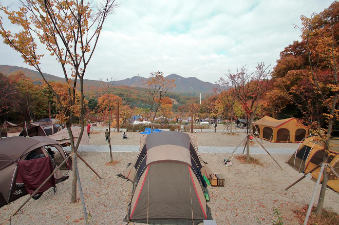 한국관광공사, 2025년 우수 공공야영장 15개소 선정