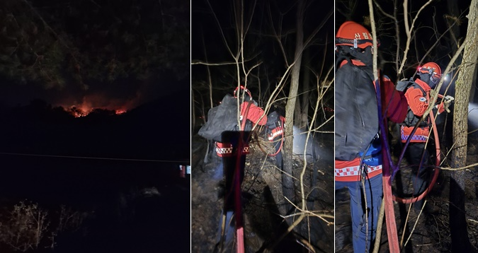 (사진제공=산림청)