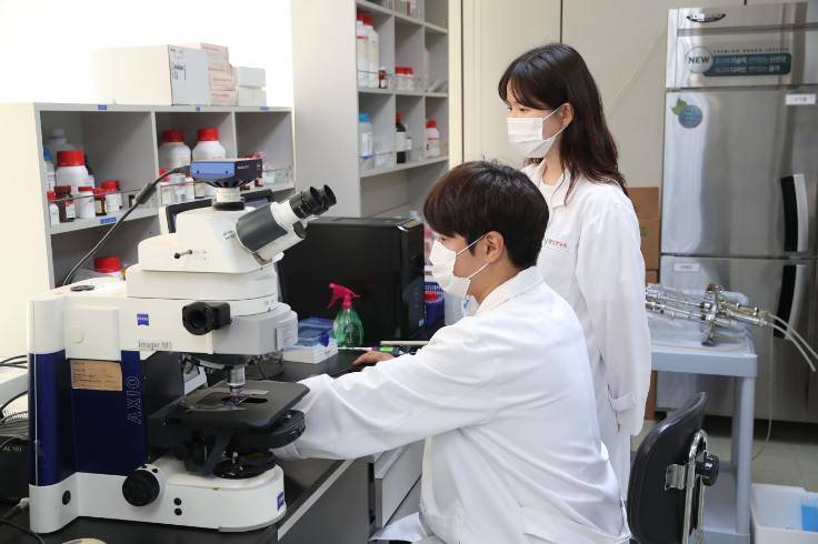 hy, 특허 유산균 HP7 소화 기능 개선 연구 성과