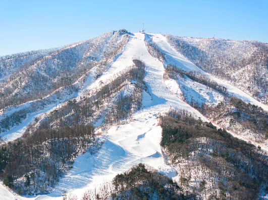 휘닉스 파크, 30주년 기념 25/26 시즌 국내 최초 개장