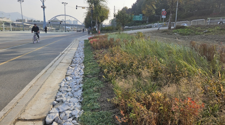 중랑천 이화교 일대에 조성된 그라스원