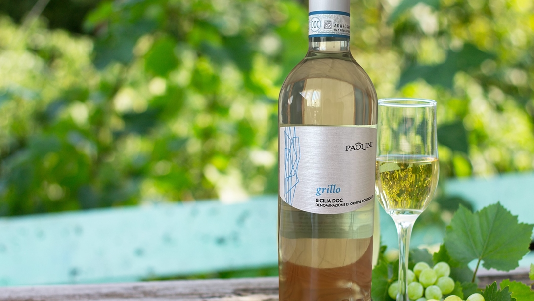 킴스클럽, 5990원 이탈리아산 화이트 와인 '칸티네 파올리니 그릴로' 출시