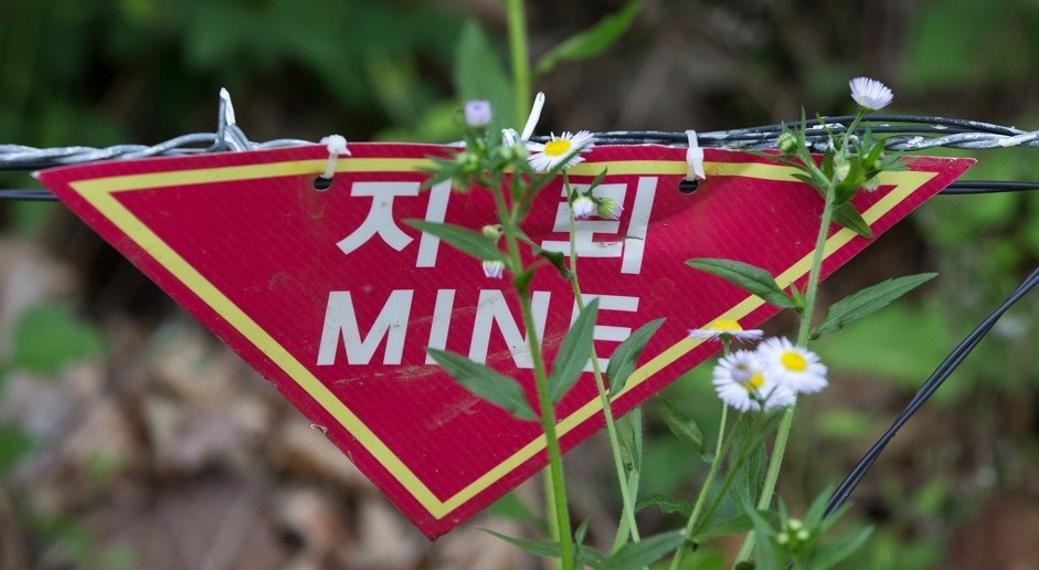 비무장지대 지뢰 푯말(사진=연합뉴스)