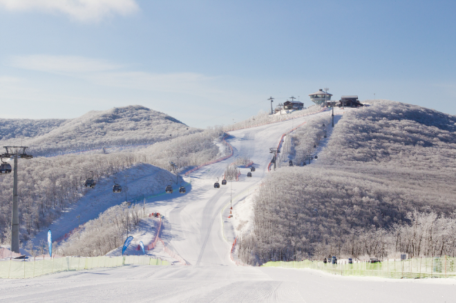 하이원리조트, 예년보다 일주일 빠른 25/26시즌 스키장 개장...겨울 체험 콘텐츠 풍성