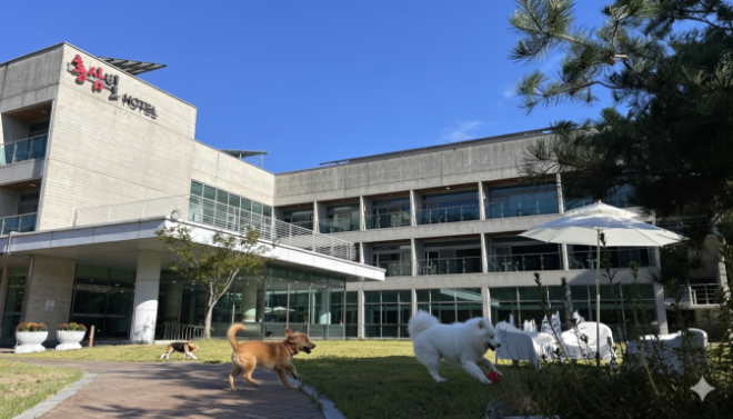 HLB에프앤비, 진안 ‘홍삼빌’ 펫 프렌들리 전략 본격화