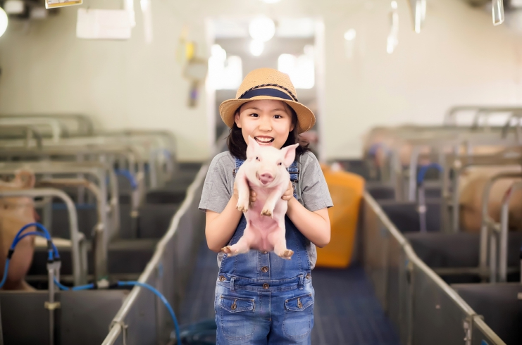 농식품부 공모사업 선정