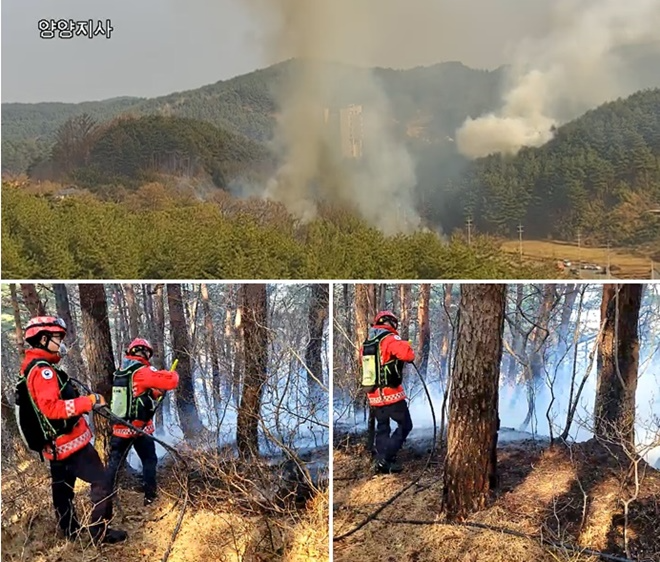 (사진제공=산림청)