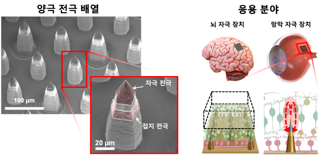 제작한 양극 전극 배열의 전자현미경(SEM) 사진과 적용 가능 분야. 사진=한국연구재단