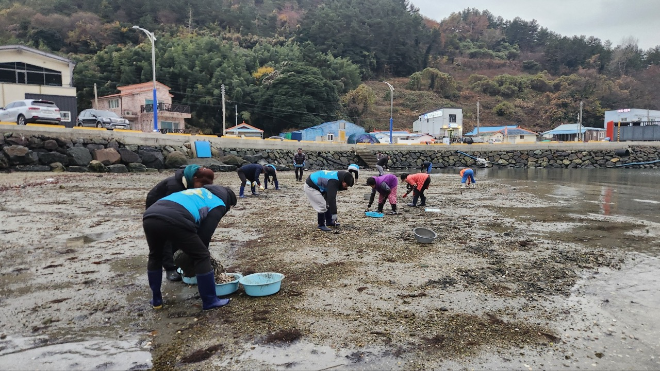 관리원 직원들과 궁항어촌계 관계자, 주민들이 함께 바지락 종패를 방류중인 모습.(사진=국토안전관리원)