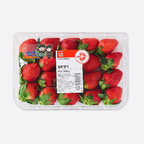 롯데마트, 지역 캐릭터 담은 ‘전국 딸기 대전’ 운영