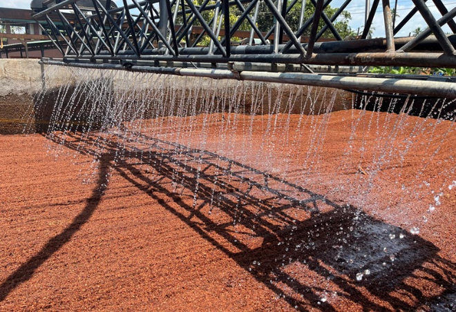 STX, 친환경 코코피트 배지 국내 공급…트롤리고 기반 농업자재 유통 확대